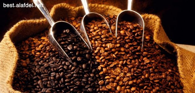 A picture with a group of different coffee beans next to them with spoons, which are among the best coffee beans in the world